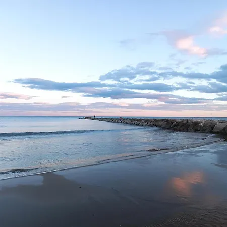 Playa- Oasis - Costa De Valencia Beachside